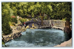 Comal Springs Land Park Scenic View New Braunfels Texas TX Vintage Postcard