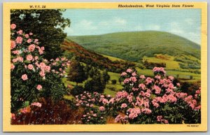 Vtg West Virginia WV State Flower Rhododendron Big Laurel 1930s View Postcard