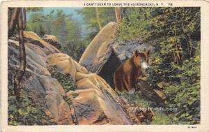 Adirondacks, NY USA Bear Postcard