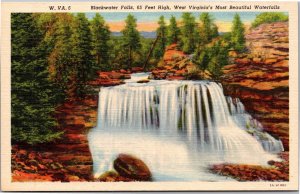 Postcard WV Davis Blackwater Falls