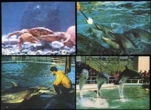 152480 BATUMI Oceanarium dolphin COMPLETE Set 15 old cards