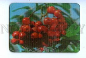 498252 USSR 1980 year rowan berries lenticular 3D Pocket CALENDAR