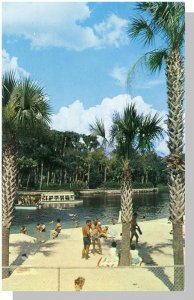 Silver Springs, Florida/FL Postcard, White Sand Beach