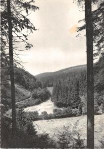 BG3579 willingen waldeck blick ins paradies   CPSM 15x9.5cm germany