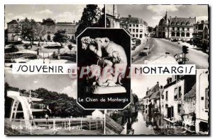 Old Postcard Montargis Montargis The Memorial Dog Swimming Stadium Roger Gira...