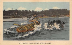 Apsley Ontario Canada Jack's Lake Fishing Exaggeration Postcard AA70071
