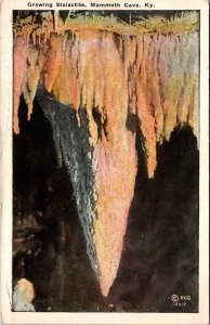 Growing Stalactite, Mammoth Cave KY Vintage Postcard S75
