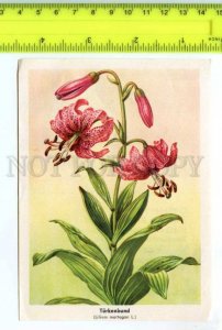 420845 GERMANY flowers Lilium martogon Vintage Tobacco Card w/ ADVERTISING