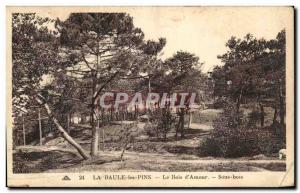 Old Postcard La Baule Les Pins Bois d & # 39Amour Sous Bois