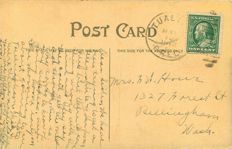 c1910 Sepia Tone Postcard; Town View Newberg OR Yamhill County posted