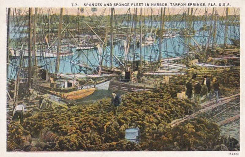 Florida Tarpon Springs Sponges and Sponge Fleet In Harbor 1938 Curteich