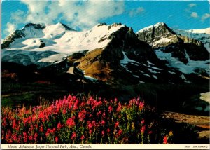 Canada Jasper National Park Mount Athabasca