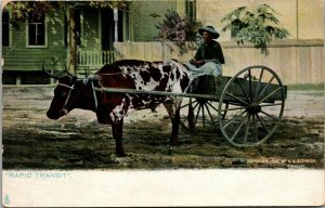 Vtg Rapid Transit Ox Cart Sunny South V.G. Schreck pre-1908 Tuck Postcard