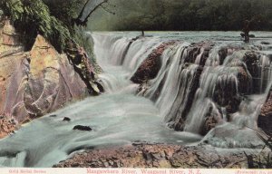 Mangawhero River Wanganui New Zealand Antique Postcard