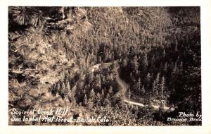 Beulah Colorado San Isabel Forest Squirrel Creek Real Photo Postcard K102961