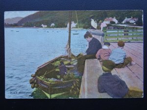 Scotland ARROCHAR PIER showing The ROBERT CARNIE Fishing Boat c1906 Postcard