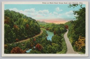 Newark Ohio~Scene On Black Hang Gorge Road~Vintage Postcard