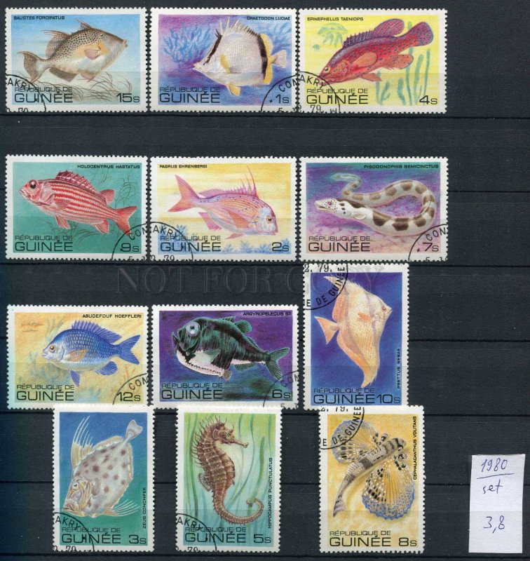 265019 Guinea 1980 year used stamps set FISHES