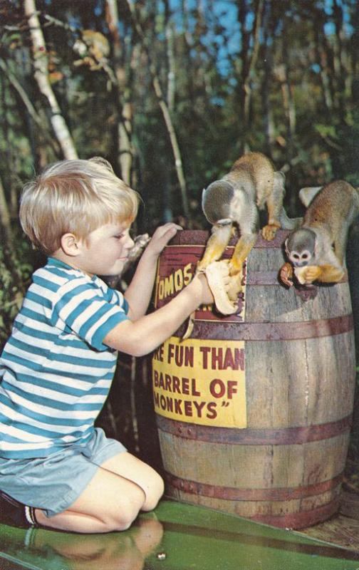 More Fun than Barrel of Monkeys - Homosassa Springs near Tampa Bay FL, Florida