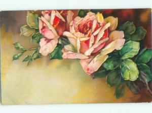 Divided-Back BEAUTIFUL FLOWERS SCENE Great Postcard AA2635