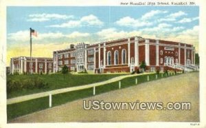 New Hannibal High School - Missouri MO Postcard