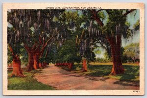 Lovers Lane Audubon Park New Orleans Louisiana Autumn Roadway & Grounds Postcard