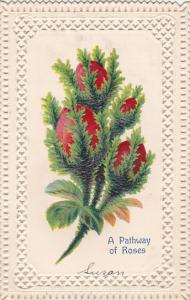 Flower Embroidered Red Roses