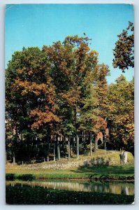 1960 Rome City Indiana Vintage Postcard Scenic Beauty Kneipp Springs Lake Sylvan