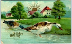 M-32243 Ducks in Landscape Scene Painting/Art Print Birthday Greeting