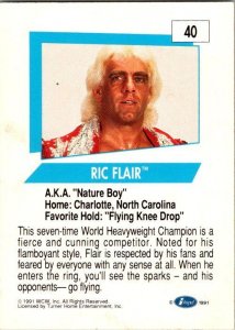 1991 WCW Wrestling Card Ric Flair sk21165