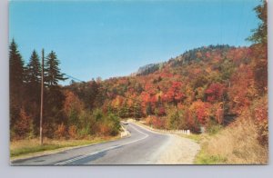 Autumn, Fall Colours, Rural Highway Scene, Canada, Vintage Chrome Postcard