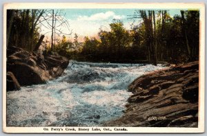 Postcard Stoney Lake Ontario c1920s On Perrys Creek Peterborough County Scenic