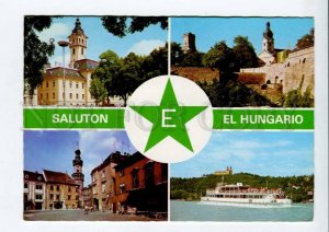 422158 HUNGARY FRANCE 1983 Budapest Esperanto congress RPPC w/ wild boar stamp