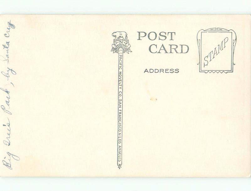 W-Border OVERHANGING BRIDGE Santa Cruz California CA d4857