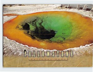 Postcard The Morning Glory Pool, Yellowstone National Park, Wyoming