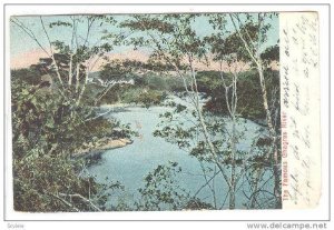 The Famous Chagres River, Panama, 1900-1910s