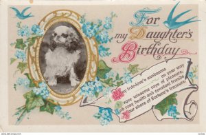 Dog Birthday Card , 00-10s
