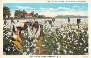 Carthage North Carolina Dixieland Picking Cotton Vintage Postcard AA54728