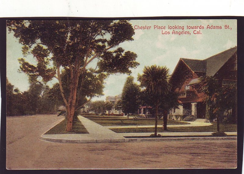 P1439 old unused postcard chester place towards adams street los angeles calif