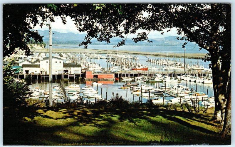 ILWACO, Washington WA   PORT BASIN Columbia River   Postcard