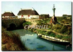 Modern Postcard Saintes Maries De La Mer House and gardian cross in a quiet w...