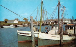 Ocean City, MD Maryland  HARBOR & COMMERCIAL FISHING BOATS  Vintage  Postcard