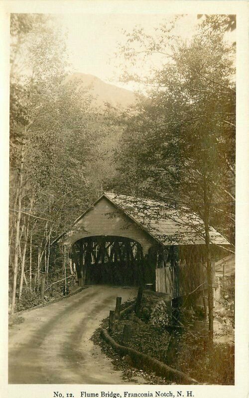 Franconia Notch New Hampshire 1935 Flume Bridge #12 RPPC Photo Postcard 21-11706