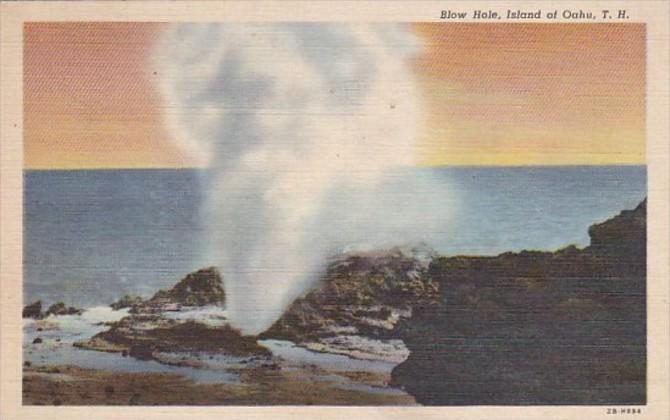 Hawaii Oahu The Blow Hole Curteich