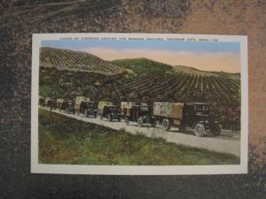 TRAVERSE CITY MI MORGAN ORCHARD CHERRY TRUCKS  PC