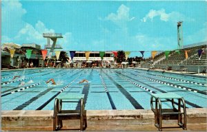 Vtg Fort Lauderdale FL Olympic Pool Internation Swimming Hall of Fame Postcard