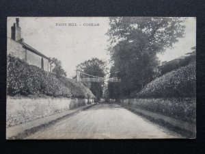 Surrey Elmbridge COBHAM Pains Hill Footbridge (1) c1905 Postcard by M. Harris