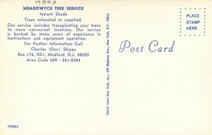 Dexter 1950s Meadowick Tree Service Medford New Jersey postcard 8136