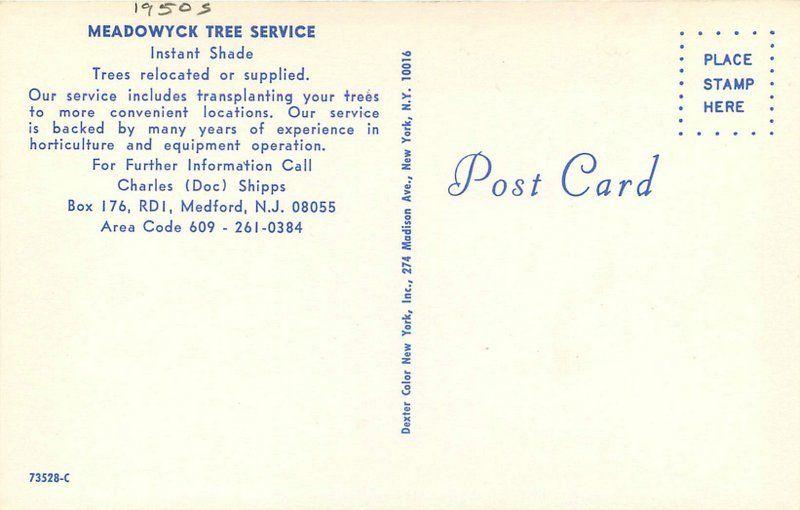 Dexter 1950s Meadowick Tree Service Medford New Jersey postcard 8136