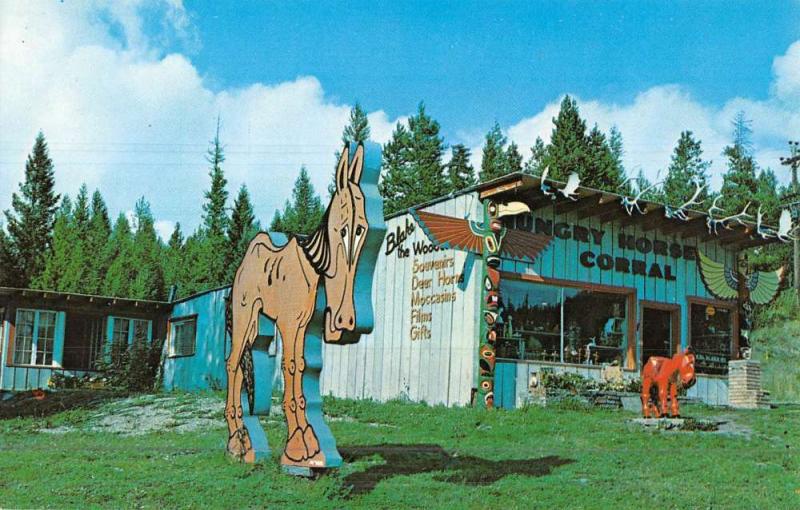 Glacier National Park Montana Blakes Hunry Horse Corral Vintage Postcard K48378